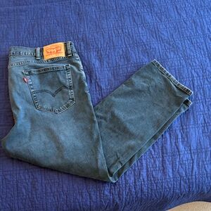 Levi's Dark Blue Denim Pants